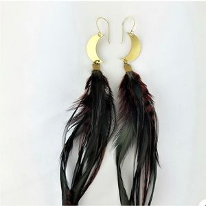 Moonscape Feather Earrings
